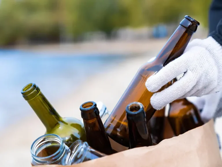 A_Struttura_generale_delle_bottiglie_di_vino_in_vetro