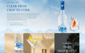 Grey Goose Vodka