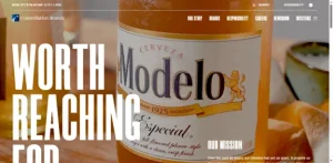 Constellation Brands, Inc.