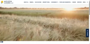 Molson Coors İçecek Şirketi